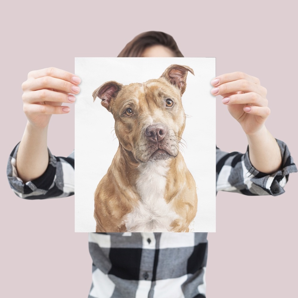 American Fawn Pit Bull Terrier Watercolor Wall Art Print Poster - Unframed - Picture 4 of 5